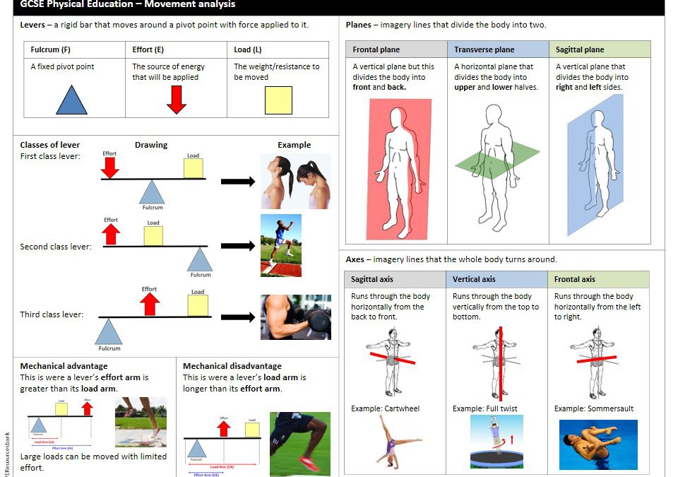 Gcse physical education coursework