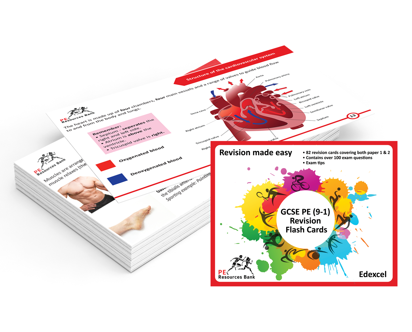 GCSE PE (91) Revision tips Use of Flash Cards Active Recall