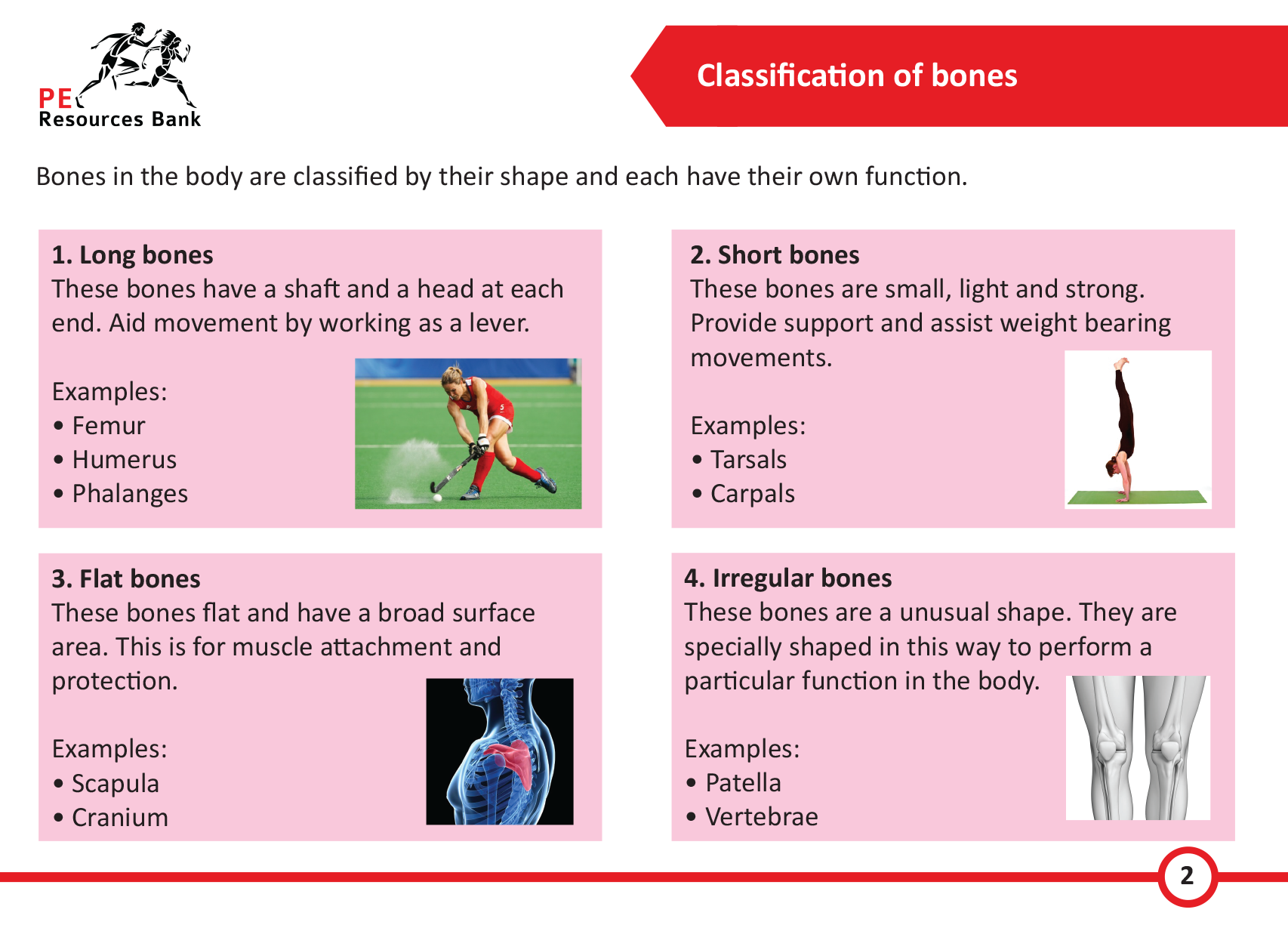 gcse pe coursework conclusion