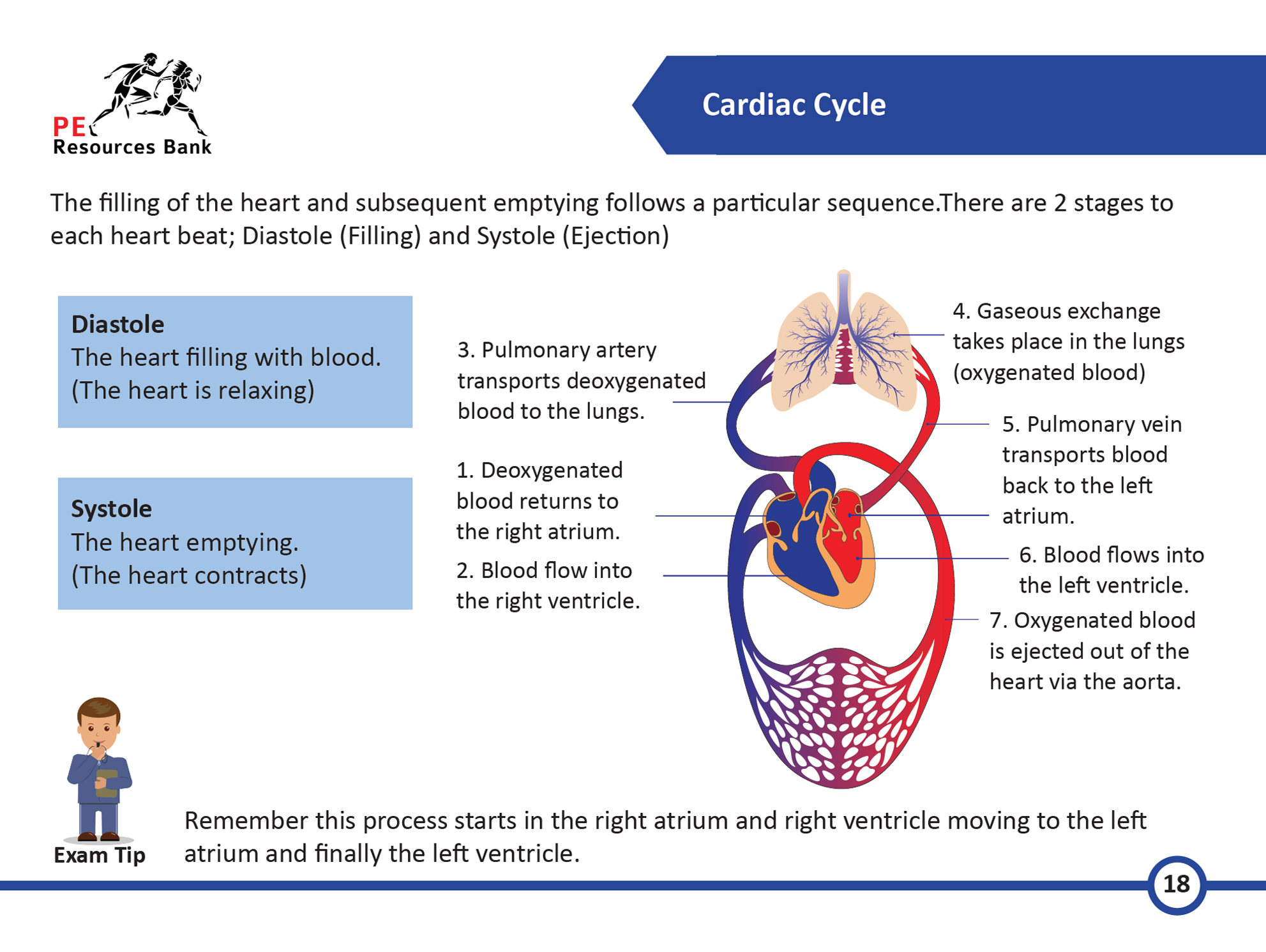 GCSE PE Revision Flash Cards AQA (91) Teachers and Students.