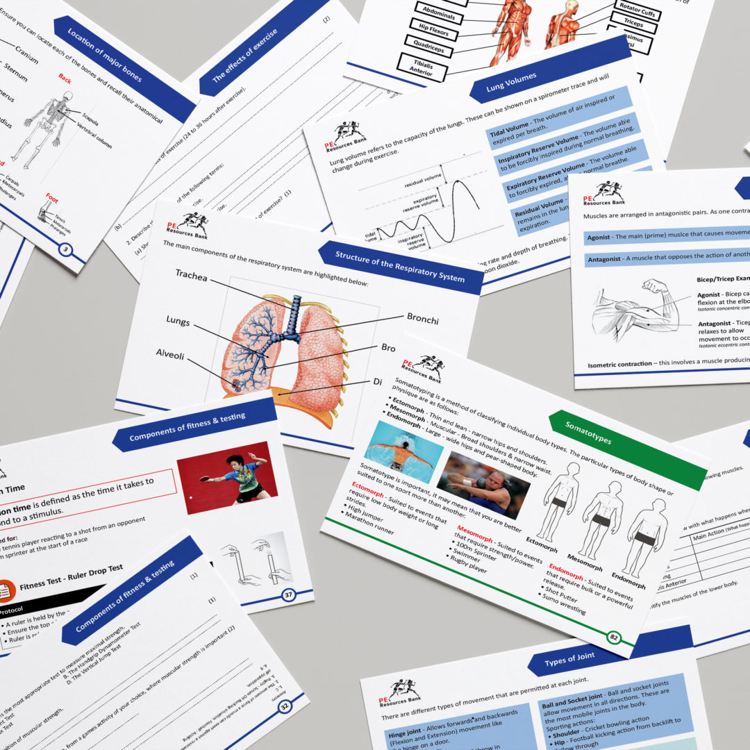 GCSE PE Revision Flash Cards AQA (91) Teachers and Students.